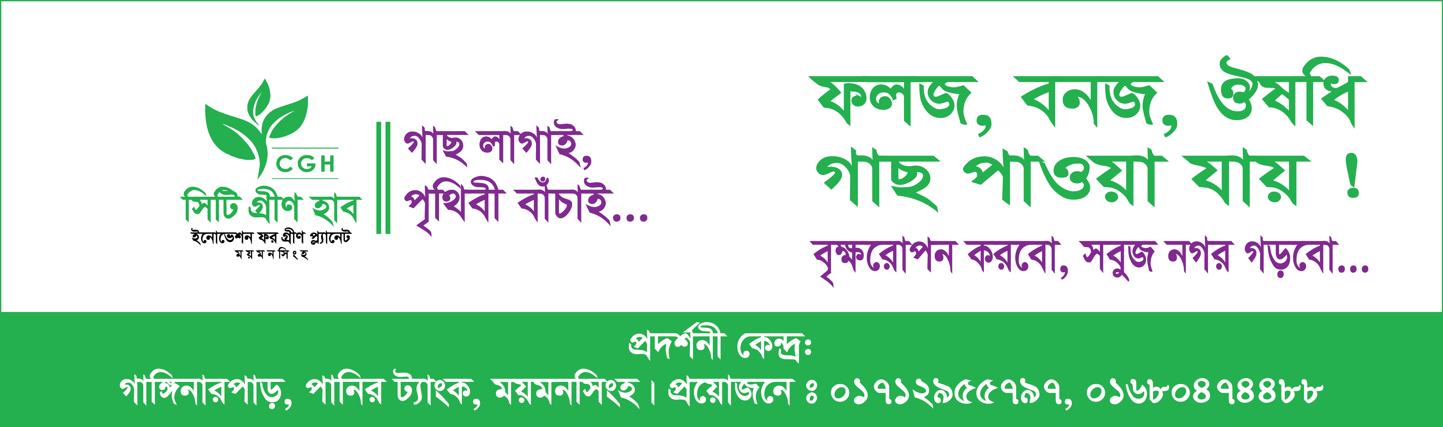Advertisement