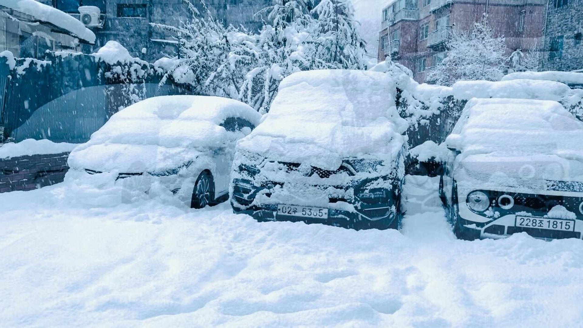 তুষারঝড়ে বিপর্যস্ত যুক্তরাষ্ট্র, প্রাণহানি বেড়ে অন্তত ২১